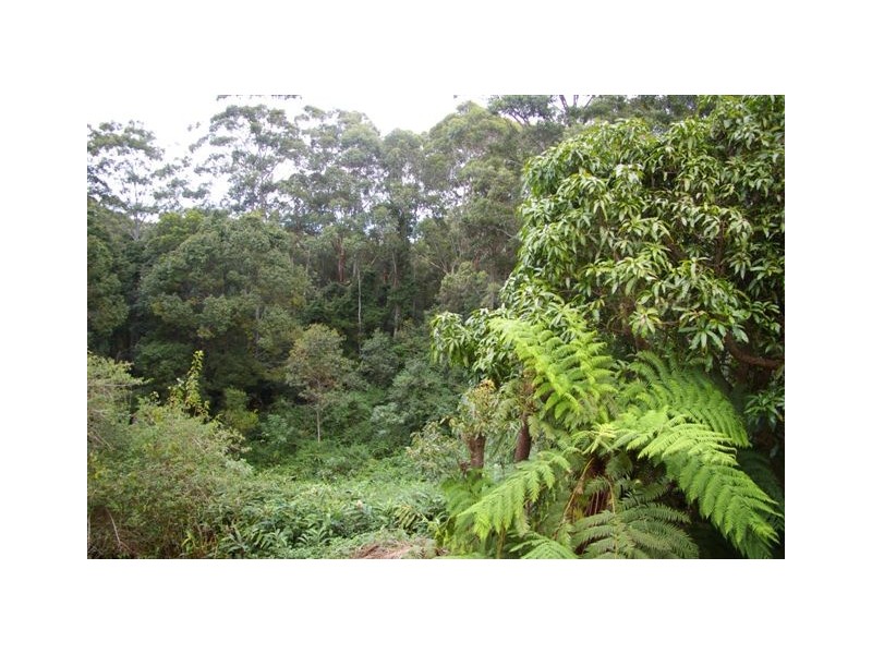 Nambucca Heads NSW 2448