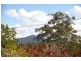 Hyland Park NSW 2448
