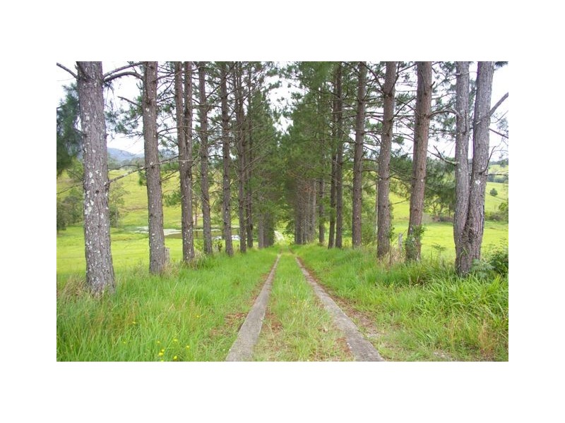 Yarranbella NSW 2447