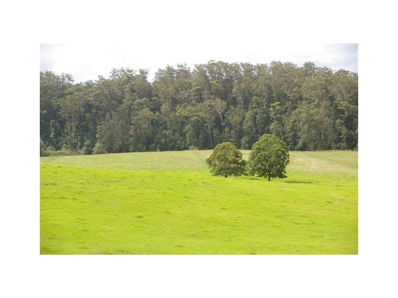 Argents Hill NSW 2449