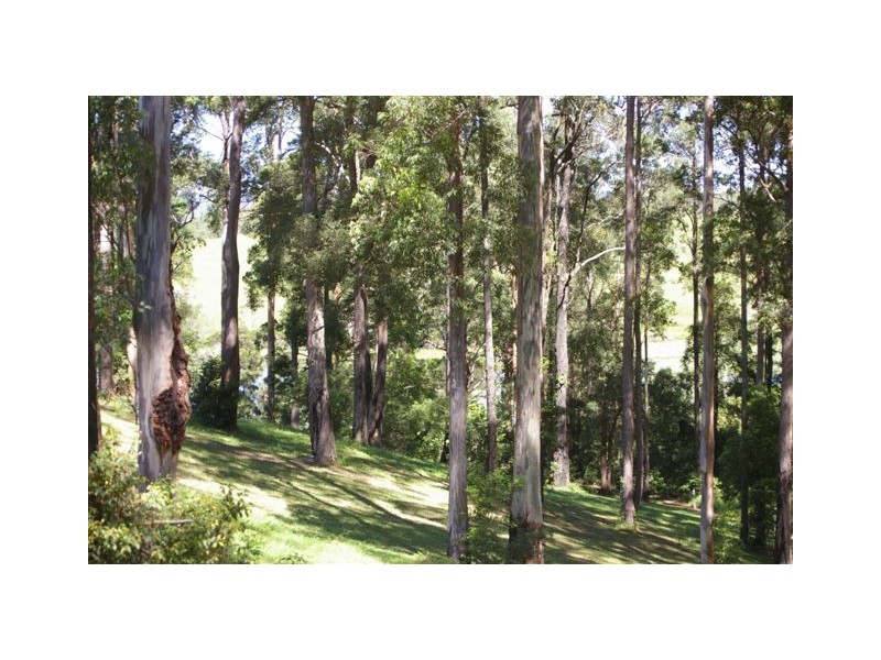 Nambucca Heads NSW 2448