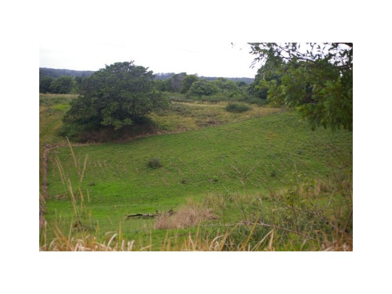 Newee Creek NSW 2447