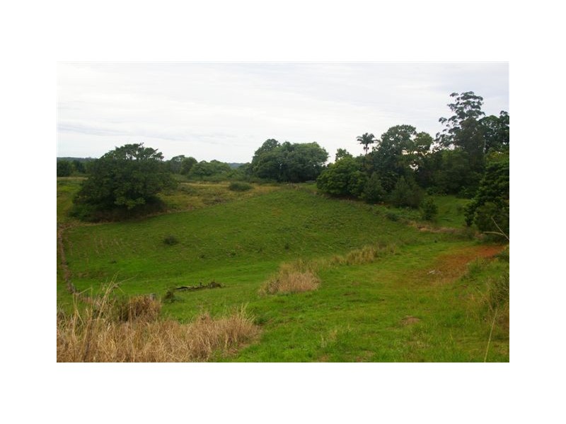 Newee Creek NSW 2447