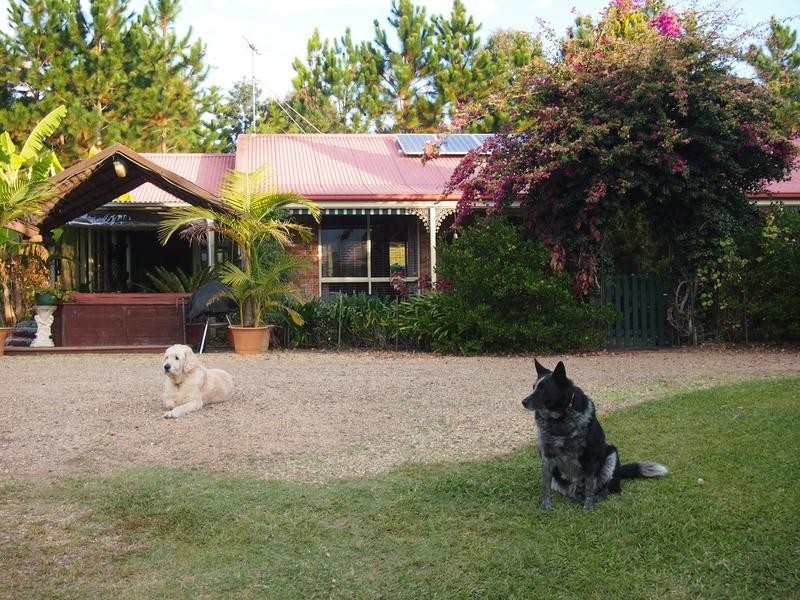 Newee Creek NSW 2447