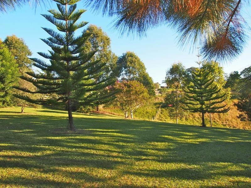 Newee Creek NSW 2447