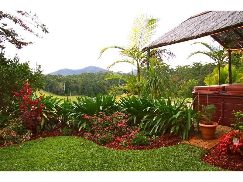 Newee Creek NSW 2447