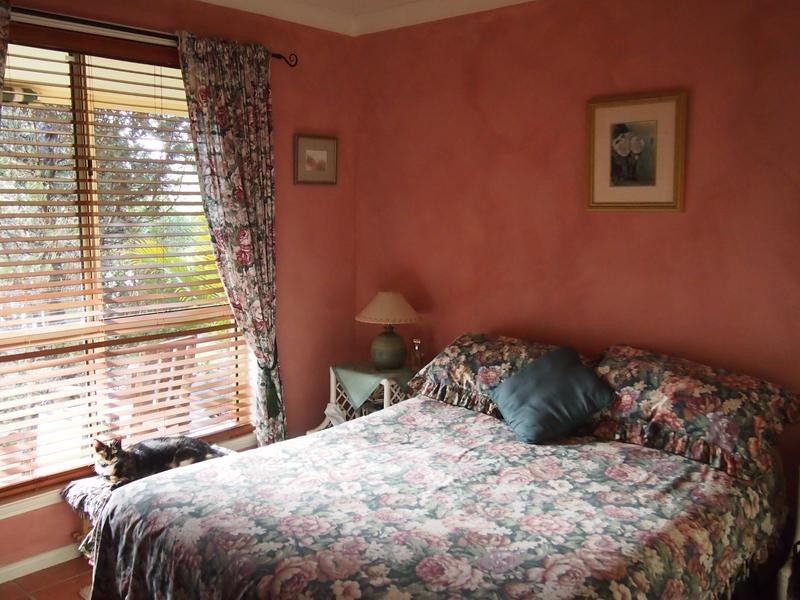 Newee Creek NSW 2447