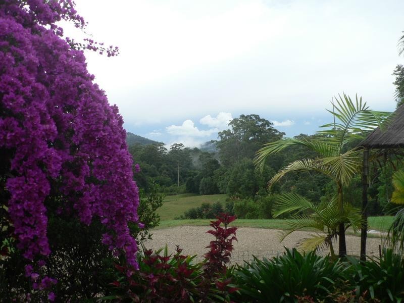 Newee Creek NSW 2447