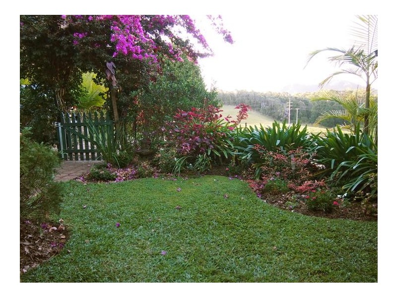 Newee Creek NSW 2447