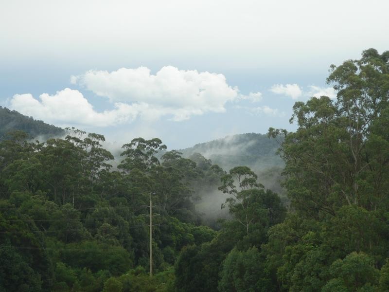 Newee Creek NSW 2447