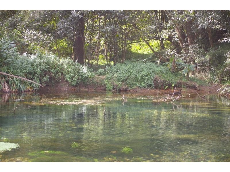 2650 North Arm Road, Girralong NSW 2449
