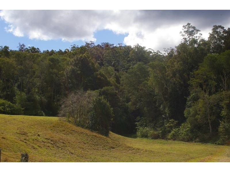 2650 North Arm Road, Girralong NSW 2449