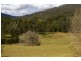 2650 North Arm Road, Girralong NSW 2449