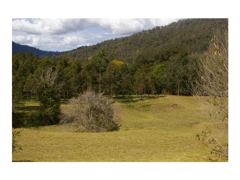 2650 North Arm Road, Girralong NSW 2449