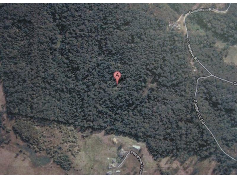 281 Congarinni Road, Congarinni NSW 2447