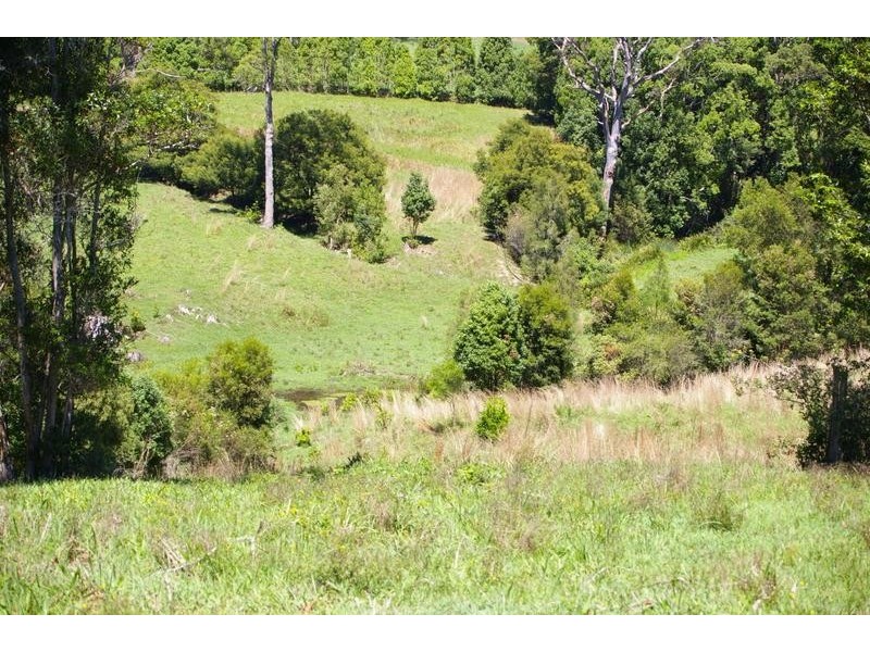 337 North Arm, Argents Hill NSW 2449