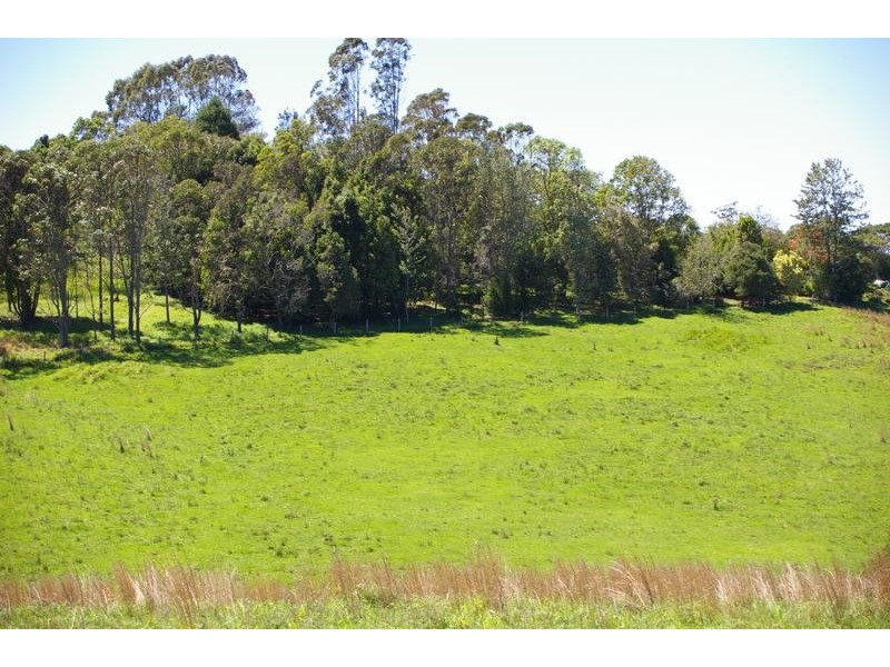 337 North Arm, Argents Hill NSW 2449