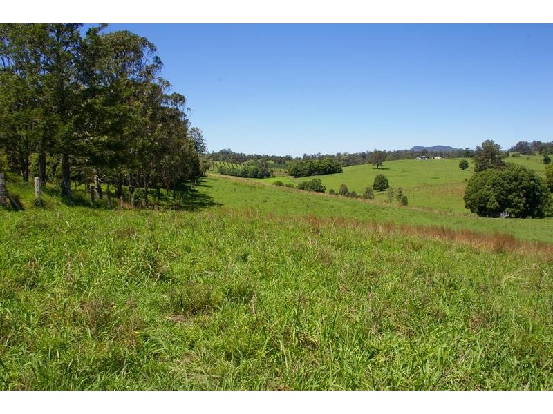 337 North Arm, Argents Hill NSW 2449