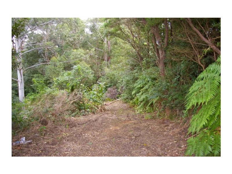 75 Mann, Nambucca Heads NSW 2448