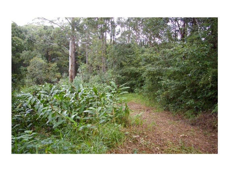 75 Mann, Nambucca Heads NSW 2448