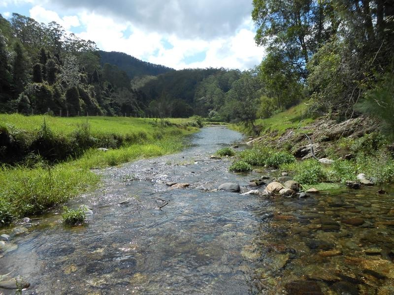 North Arm Road,, Girralong NSW 2449