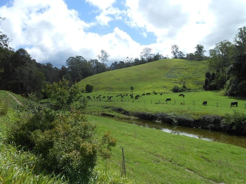 North Arm Road,, Girralong NSW 2449