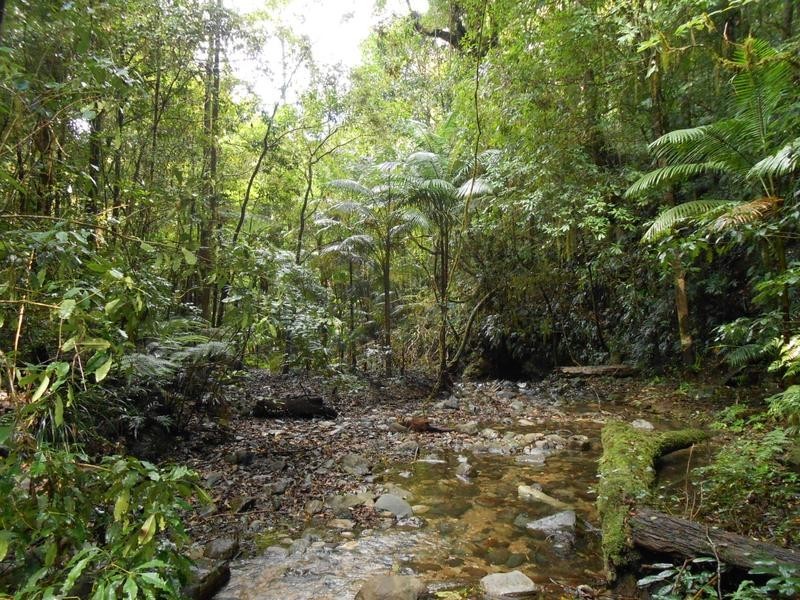 North Arm Road,, Girralong NSW 2449