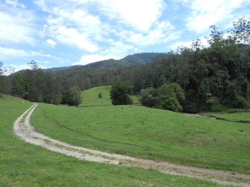 3369 North Arm Road,, Girralong NSW 2449