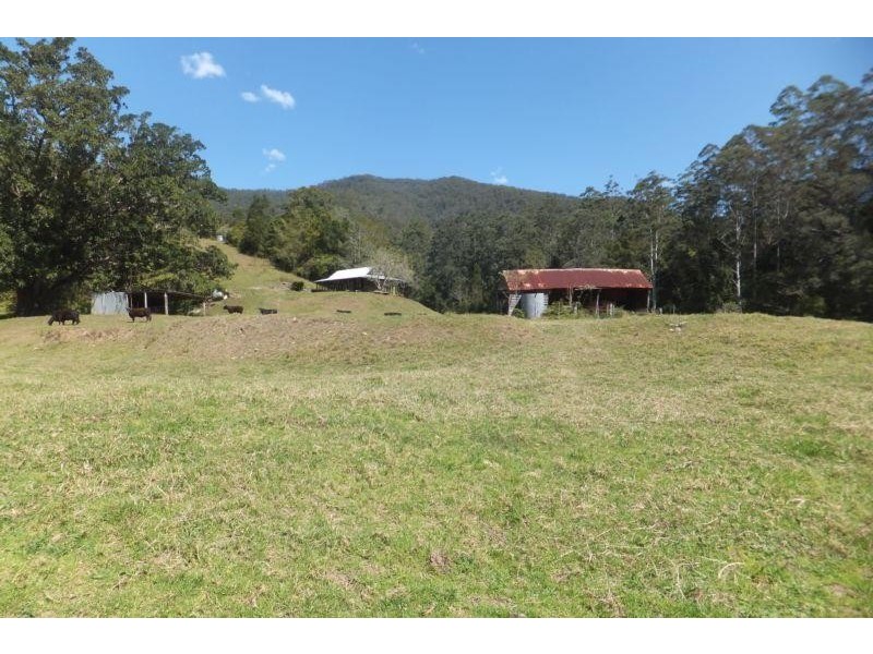 3369 North Arm Road,, Girralong NSW 2449