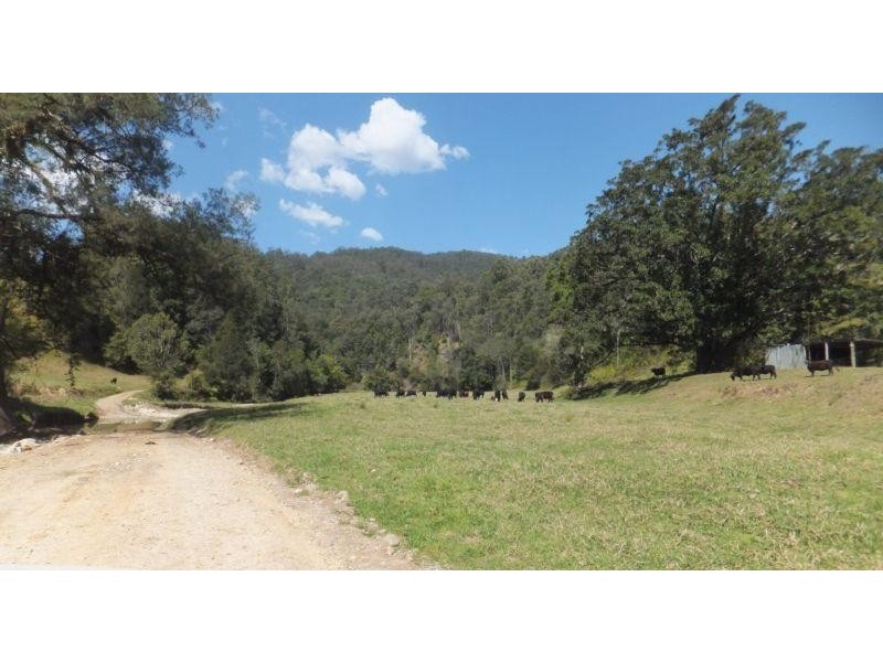 3369 North Arm Road,, Girralong NSW 2449