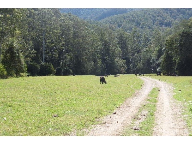 3369 North Arm Road,, Girralong NSW 2449