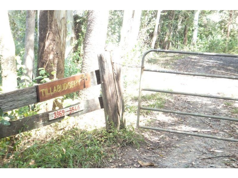 3369 North Arm Road,, Girralong NSW 2449