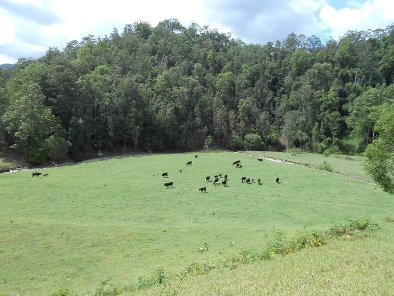 North Arm Road, Girralong NSW 2449