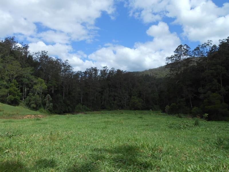North Arm Road, Girralong NSW 2449