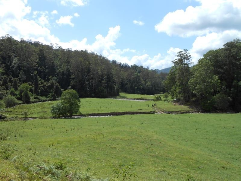 North Arm Road, Girralong NSW 2449