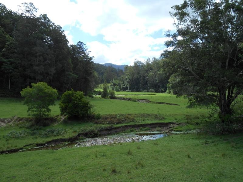 North Arm Road, Girralong NSW 2449