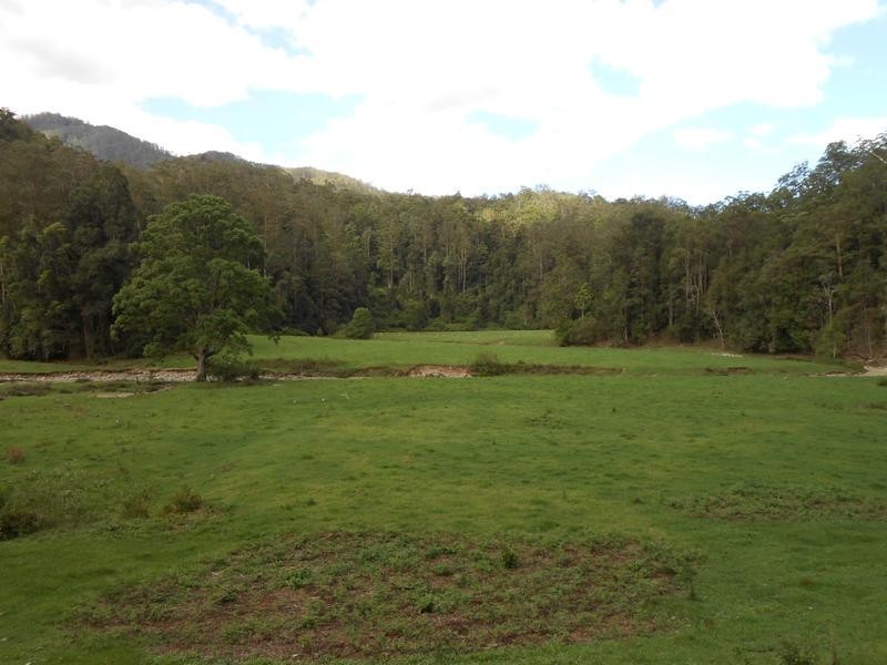 North Arm Road, Girralong NSW 2449