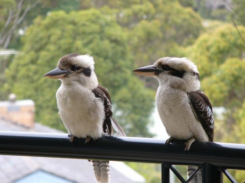 8/7 Liston, Nambucca Heads NSW 2448