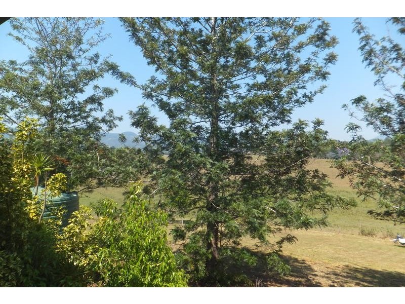 8 Greenhills Road, Upper Taylors Arm NSW 2447