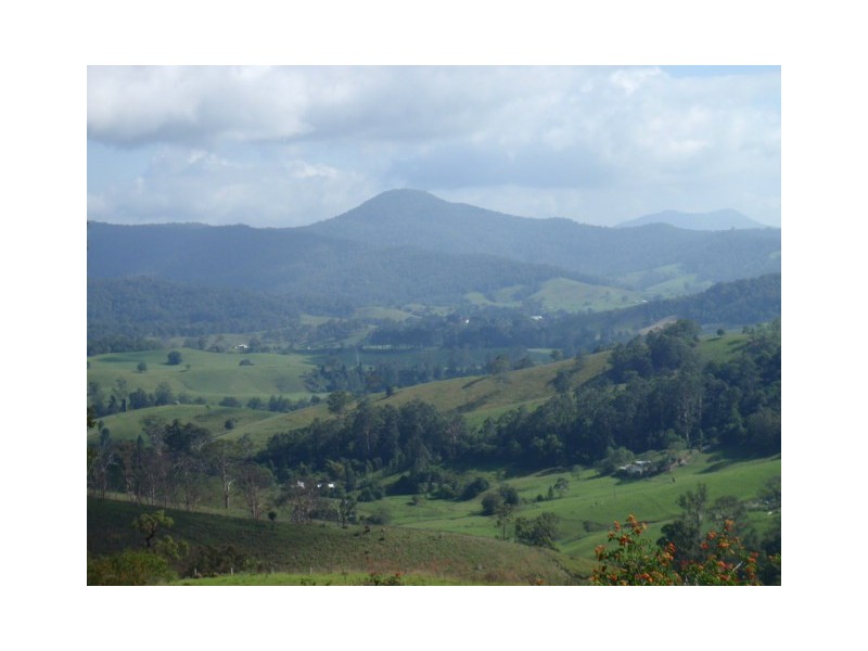 488 Greenhills Road, Taylors Arm NSW 2447