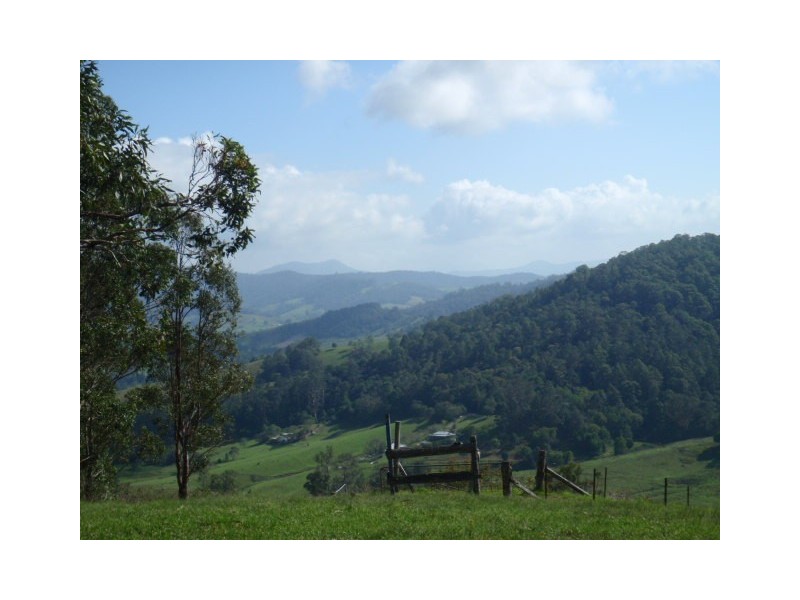 488 Greenhills Road, Taylors Arm NSW 2447