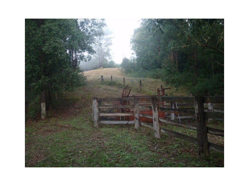 488 Greenhills Road, Taylors Arm NSW 2447