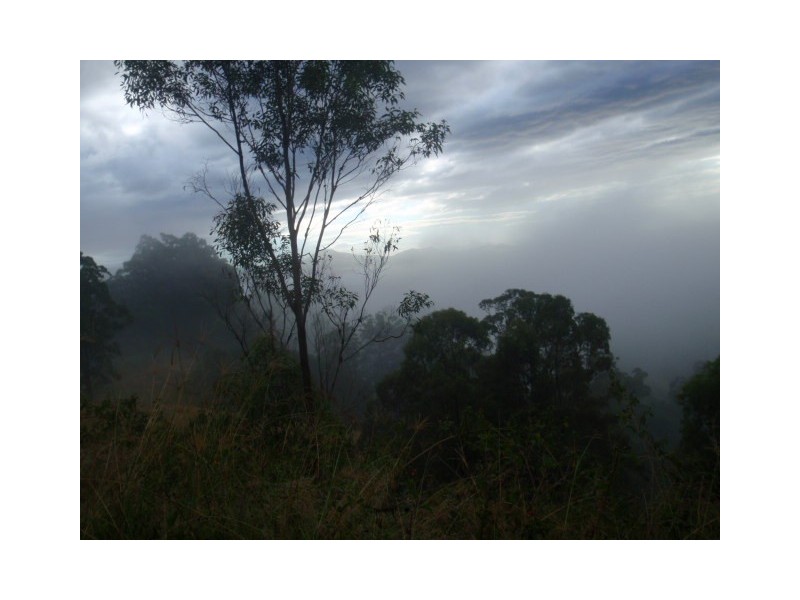 488 Greenhills Road, Taylors Arm NSW 2447