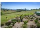 Bellingen NSW 2454