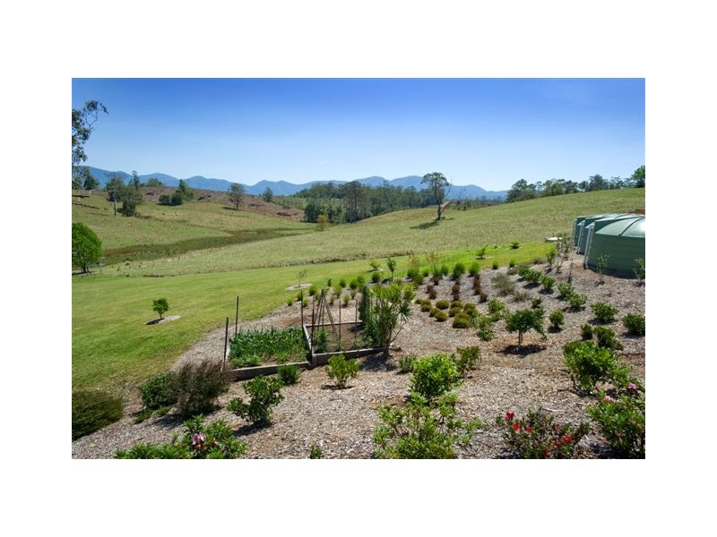 Bellingen NSW 2454