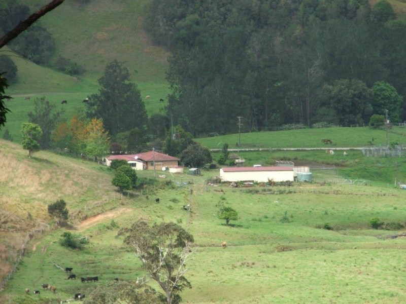 3901 Taylors Arm Road, Burrapine NSW 2447