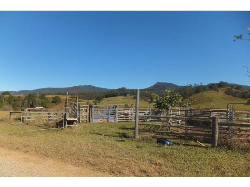 3901 Taylors Arm Road, Burrapine NSW 2447
