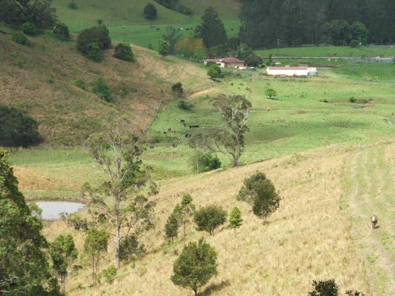 3901 Taylors Arm Road, Burrapine NSW 2447