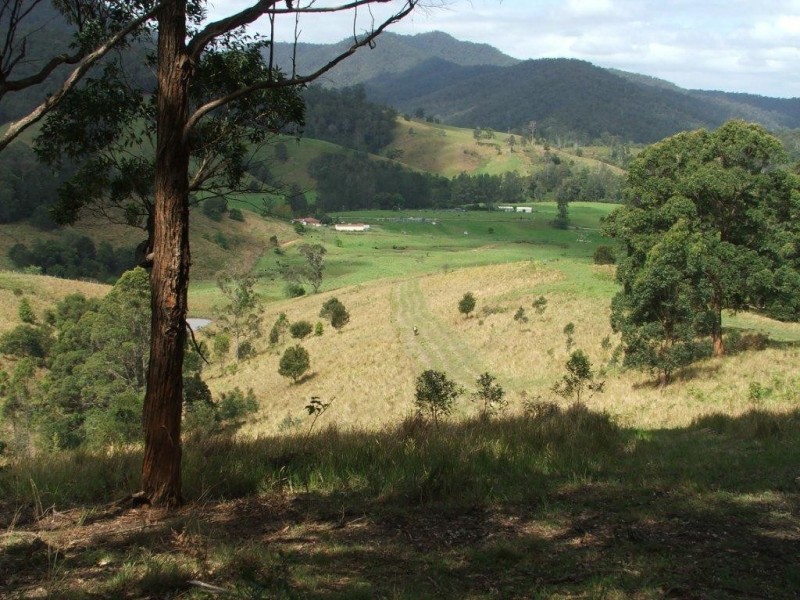 3901 Taylors Arm Road, Burrapine NSW 2447