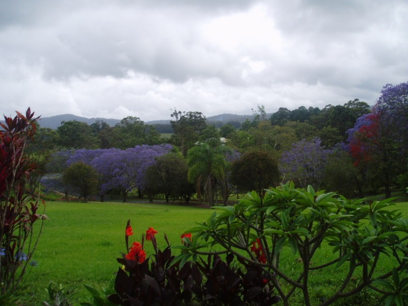 2 Colemans Road, Valla NSW 2448